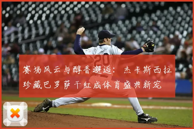 赛场风云与醇香邂逅：杰卡斯西拉珍藏巴罗萨干红成体育盛典新宠