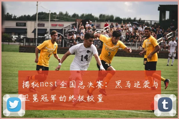 揭秘nest全国总决赛：黑马逆袭与卫冕冠军的终极较量