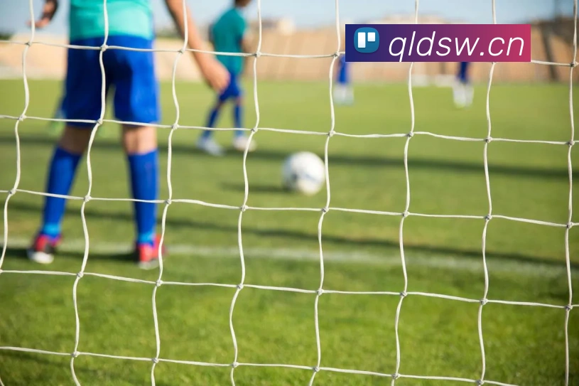 巅峰国际pg登录入口品牌故事