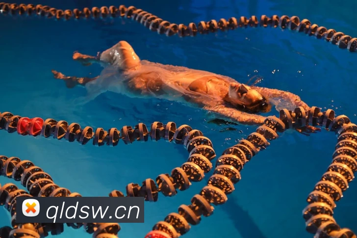 巅峰国际pg登录入口服务体系